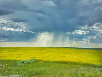 Scenic view of field against cloudy sky