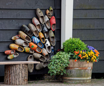 Potted plants on wooden wall in yard