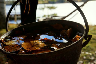 Close-up of food in container