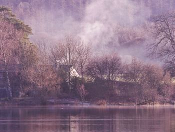 Misty day on the lake