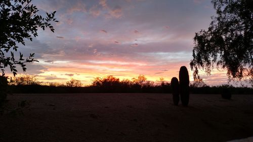 Silhouette of trees on landscape at sunset