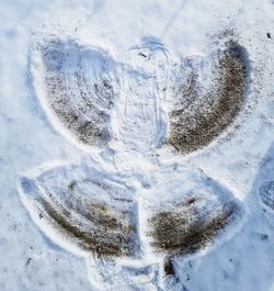 High angle view of ice on beach