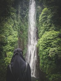 Rear view of waterfall in forest