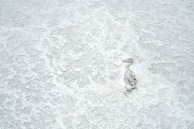 Full frame shot of snow