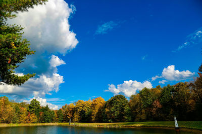 Scenic view of trees against blue sky