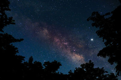 Low angle view of silhouette trees against sky at night