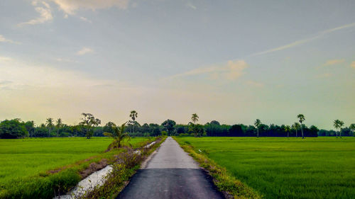 Empty road amidst field against sky