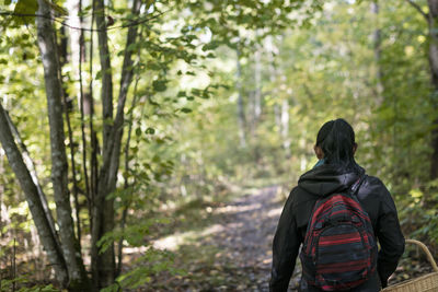 Rear view of woman walking in forest