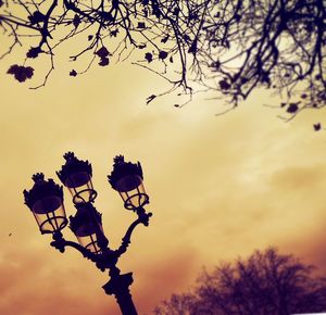 Low angle view of bare trees against sky at sunset