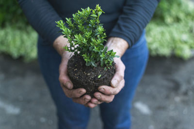 Midsection of person holding plant