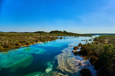 Scenic view of sea against blue sky