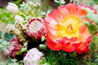 Close-up of flowers blooming outdoors