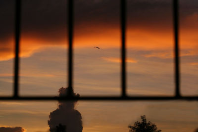 Silhouette of bird flying in sky during sunset