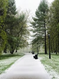 Road amidst trees against sky