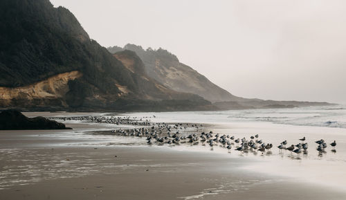 Scenic view of beach against clear sky