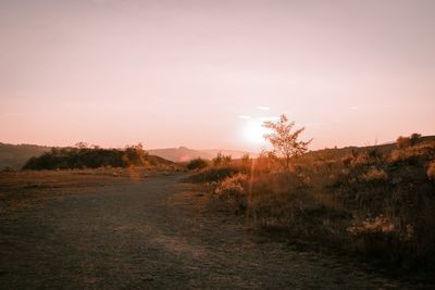 Scenic view of field against sky during sunset