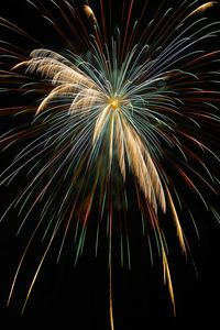 Fireworks exploding in night sky