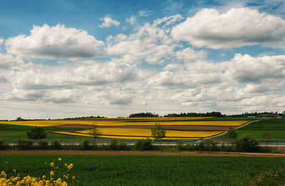 Scenic view of agricultural field against cloudy sky