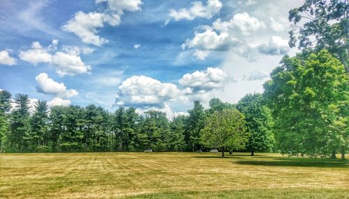 Trees on field against cloudy sky