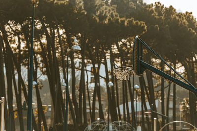 Close-up of metallic plants against trees