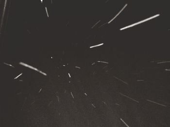 View of trees at night