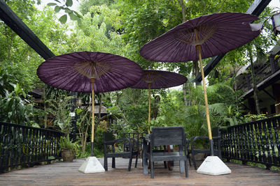 Chairs arranged below parasols by trees