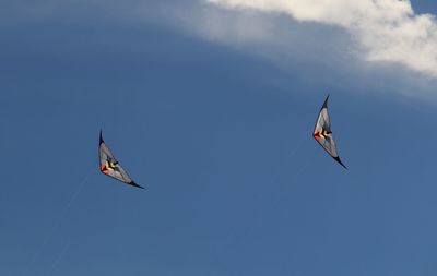 Low angle view of kite flying in sky