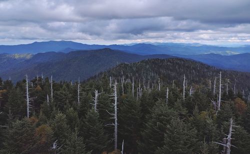 Aerial view of forest against mountain range and cloudy sky