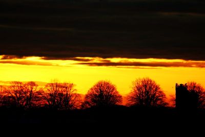 Silhouette trees against sky during sunset