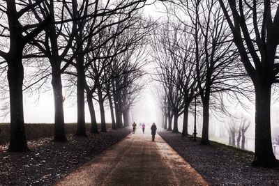 Empty road along trees in park