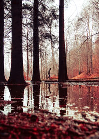 Silhouette man standing by bare tree in lake against sky