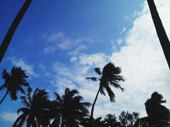 Low angle view of silhouette trees against sky