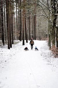 People in snow covered landscape