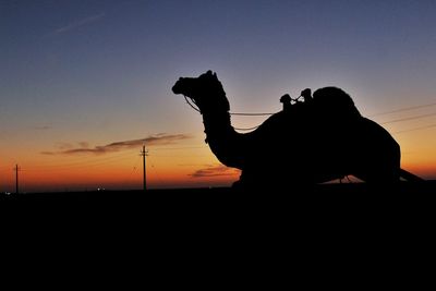 Silhouette people on land against sky during sunset
