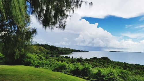 Scenic view of green landscape and sea against sky