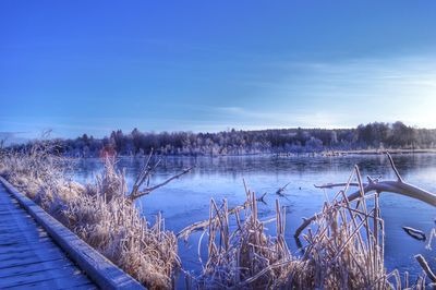 Scenic view of lake against blue sky during winter