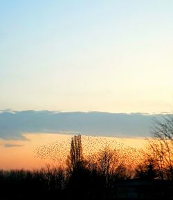 Scenic view of landscape against clear sky