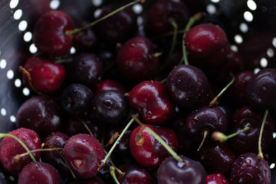 Fresh bc cherries