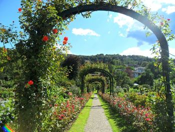 Scenic view of garden against sky