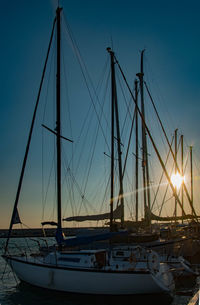 Sailboats in marina at sunset