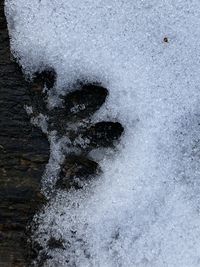 High angle view of frozen water on rocks