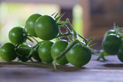 Close-up of unripe cherry tomatoes on table