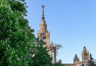 Chestnut tree flowers in front of main building of moscow university in spring sunset