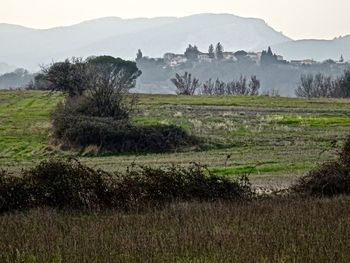 Scenic view of landscape against sky