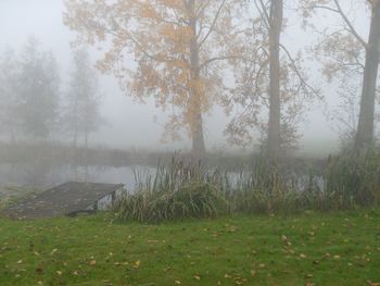 Scenic view of grassy field in foggy weather