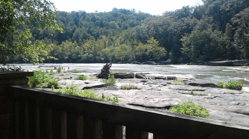 Scenic view of river by trees against sky