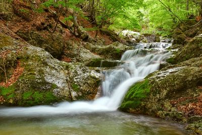 Torrente della camosciara 