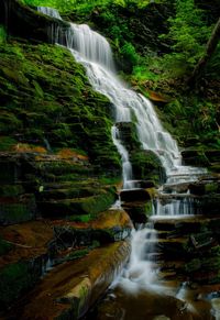 View of waterfall in forest