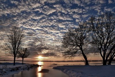 Bare trees on snow covered landscape during sunset