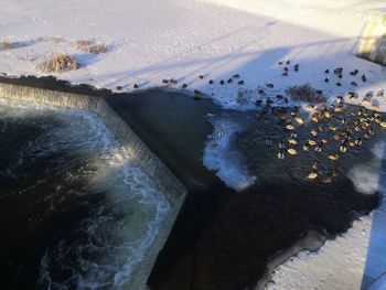 High angle view of sea shore